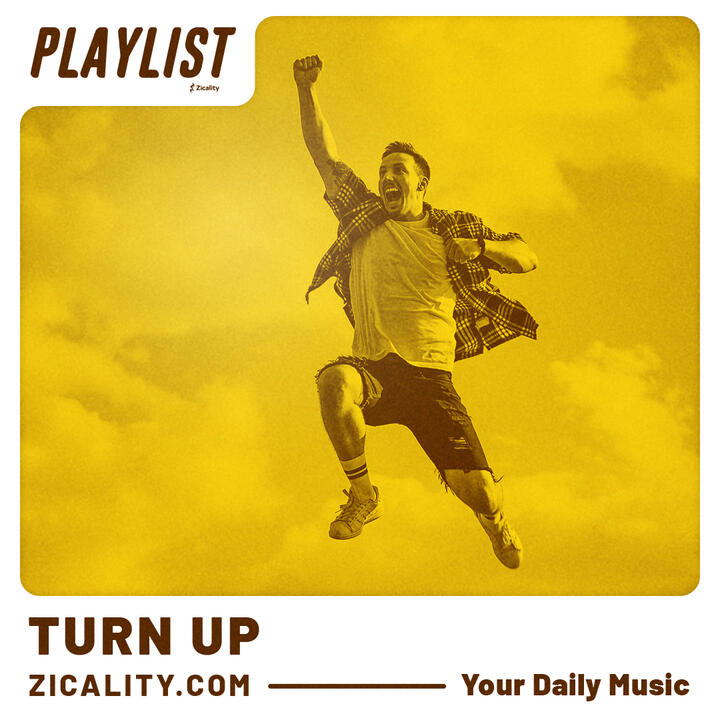 Music playlist on Spotify by Zicality named TURN UP